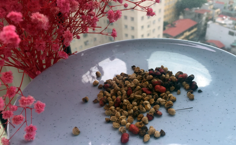 vị thuốc tam thất chữa đau lưng