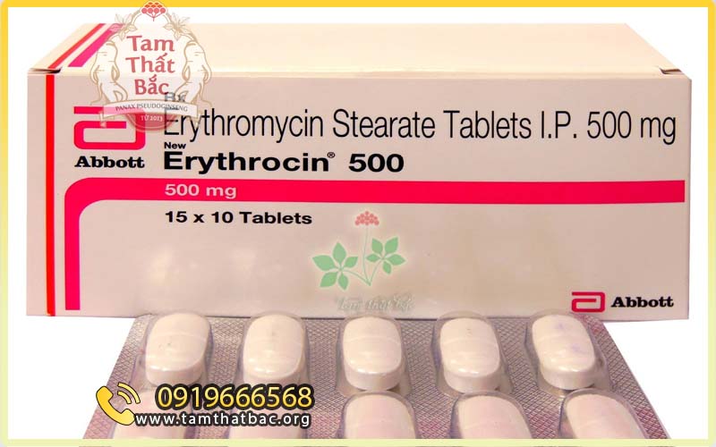 Erythrocin erythromycin