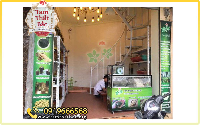 Cửa hàng tam thất Lào Cai chuyên phân phối các sản phẩm tam thất trên toàn quốc