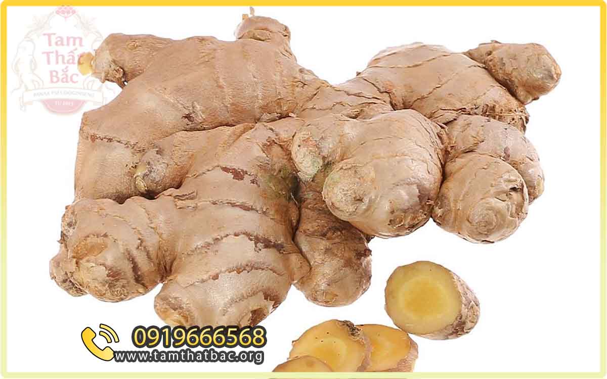 củ gừng hạ sốt