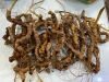 Củ tam thất rừng giá bao nhiêu