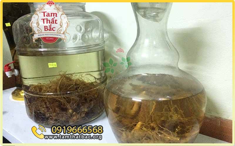 cách ngâm rượu tam thất đơn giản sẽ không hợp thẩm mỹ