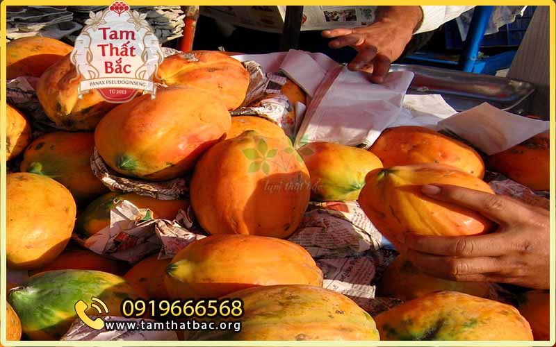Tác dụng của đu đủ trong y học và chữa bệnh dân gian du du 2