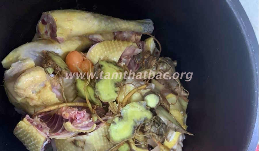 gà tam thất