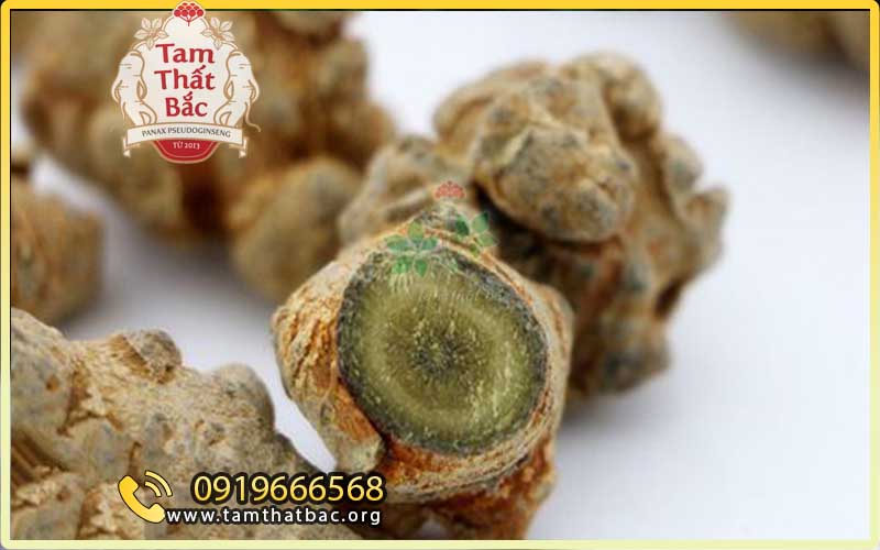 mua tam thất củ có độ tuổi ổn định từ 3-4 năm trở lên