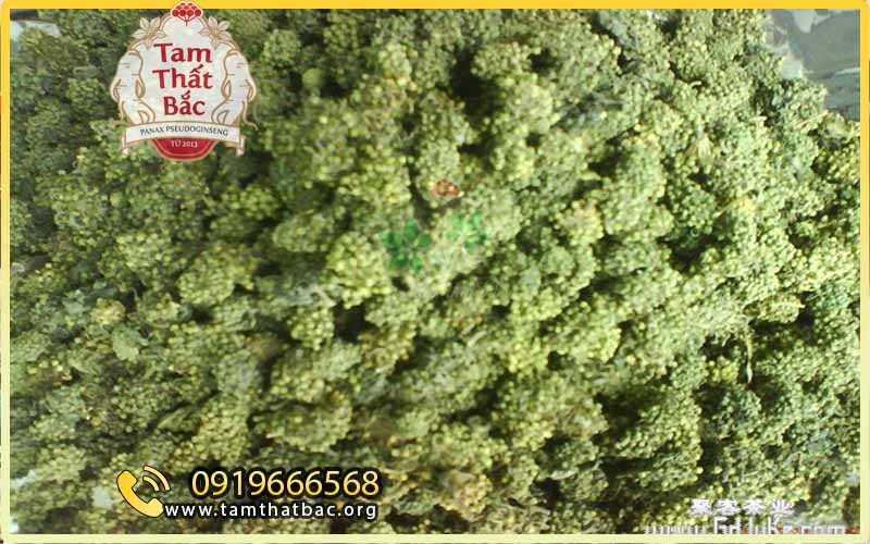 nụ tam thất trung quốc hàng loại 2 nhập về Việt Nam