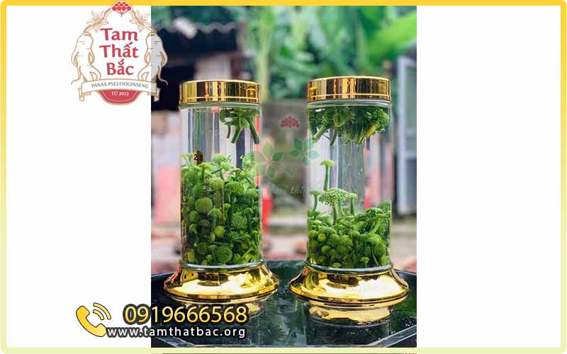 rượu ngâm nụ tam thất bao tử