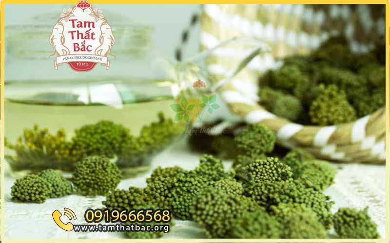 trà nụ tam thất sapa