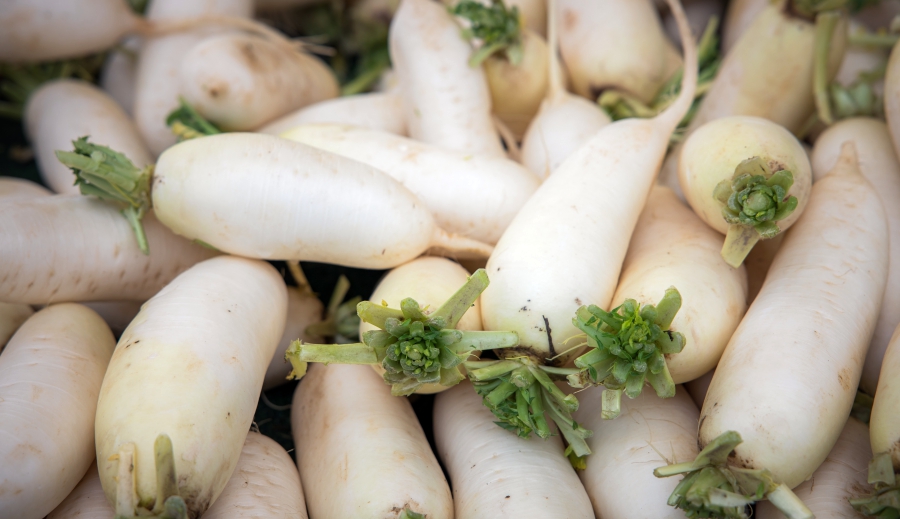 củ cải đường