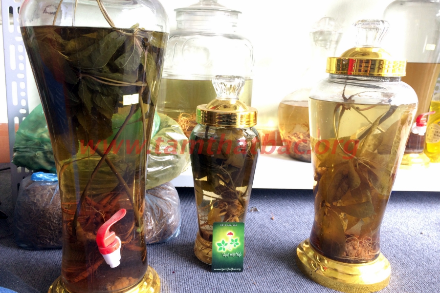 rượu ngâm lá tam thất