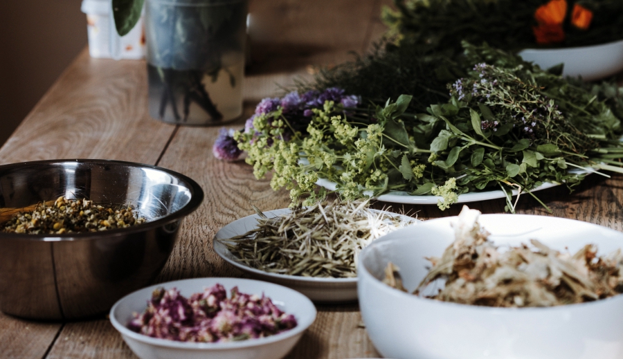 thảo mộc chữa trị bệnh tiểu đường