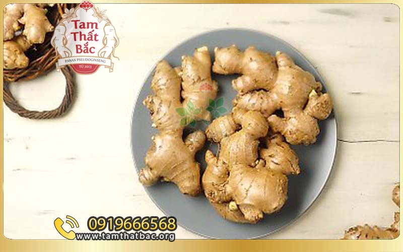 củ gừng chữa đau lưng hiệu quả