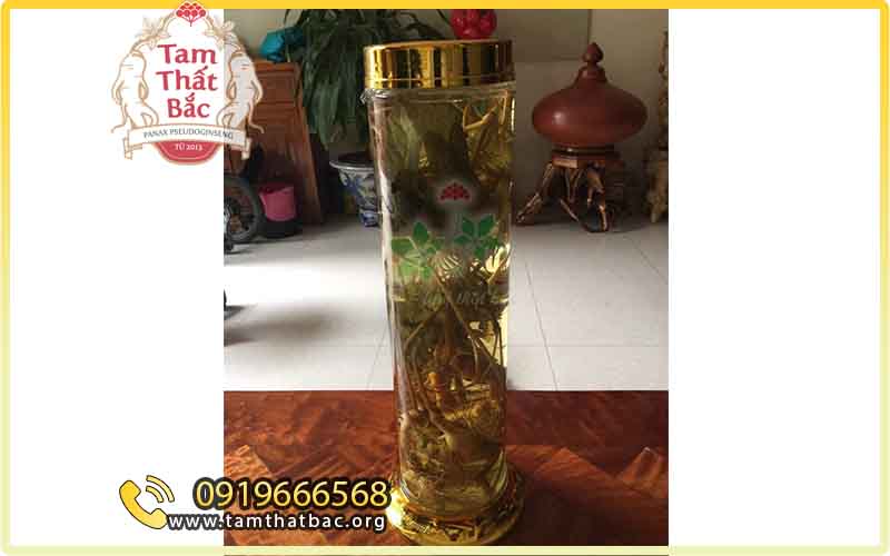 củ tam thất rừng ngâm rượu nguyên cây tươi