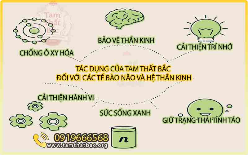 Tác dụng của tam thất kiểm chứng bởi người dùng tác dụng của tam thất