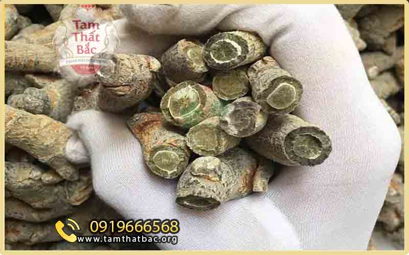 Cách mua bột tam thất ở Hà Nội lựa chọn loại củ có chất lượng cao để xay bột tam thất
