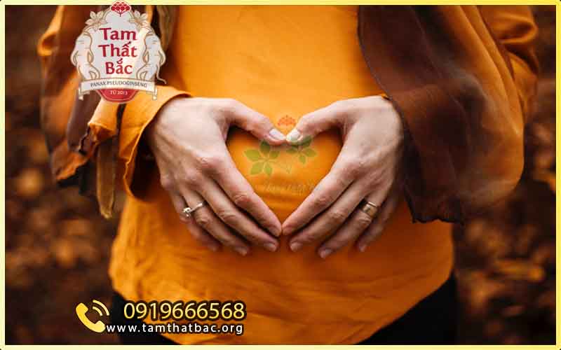6 đối tượng không dùng bột tam thất phụ nữ mang thai không dùng bột tam thất